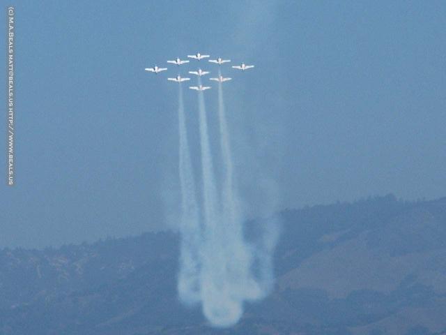 0643-Snowbirds
